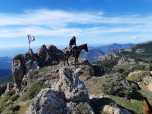 Photo n°31 de Ranch corse CLG sagone ferme équestre à Sagone (Club d'équitation)