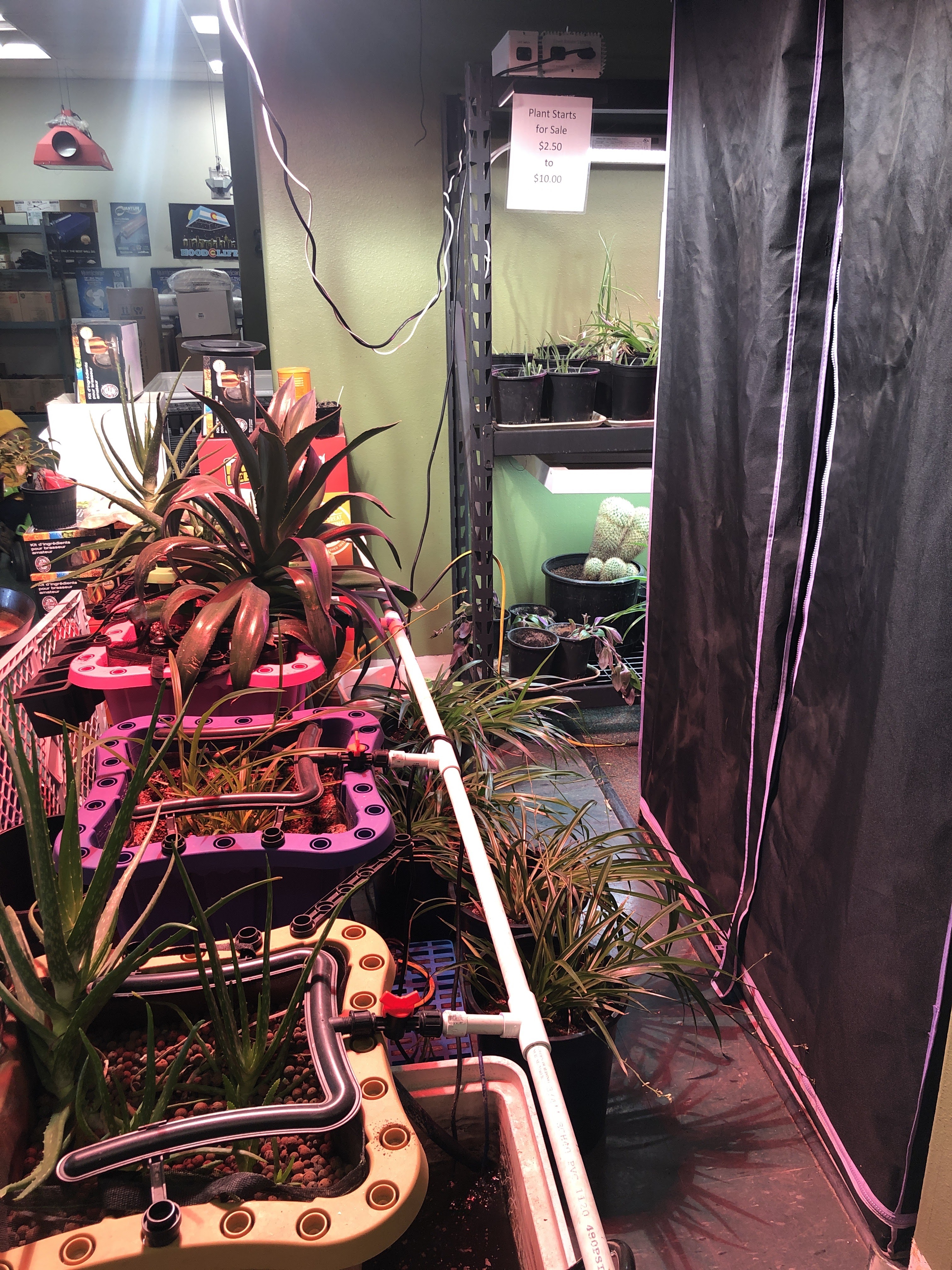 Grow Shop Greeley