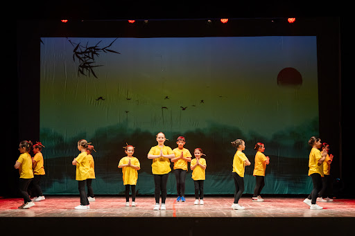 Centro Danza e Teatro - Visual
