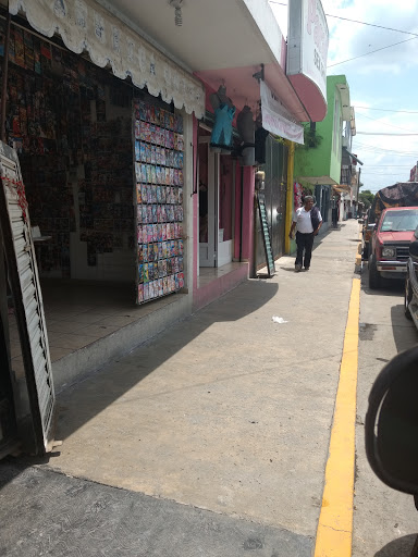 Neto Progreso - Visual