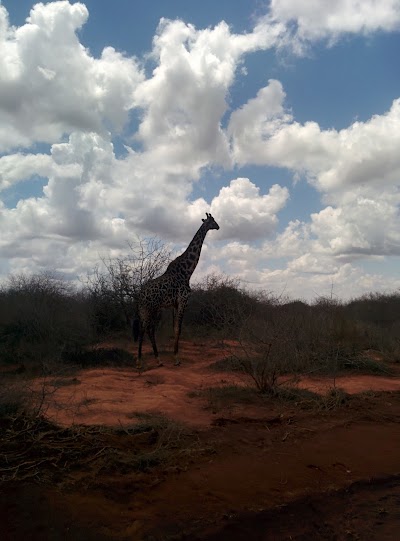 Photos of Rhino Sanctuary