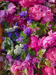 Photo n°11 de Le jardin de Pauline 85 - productrice de fleurs comestibles à Coëx (Producteur de nourriture)