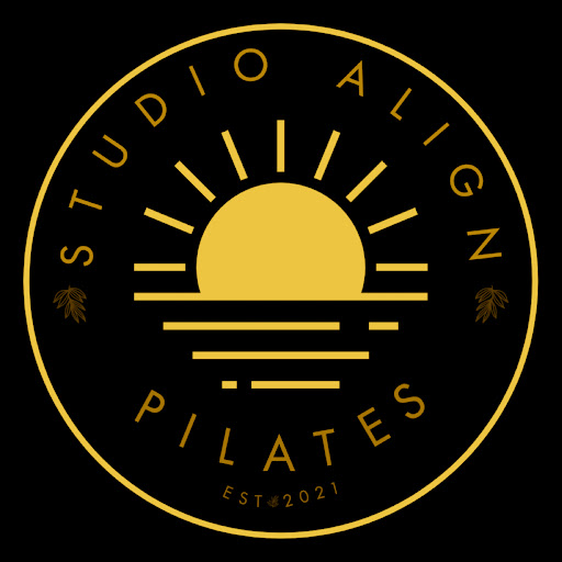 Paso Studio Align - Visual