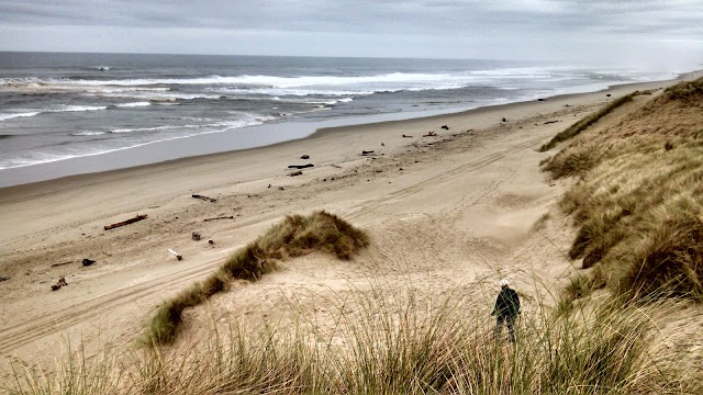 Oregon Dunes National Recreation Area