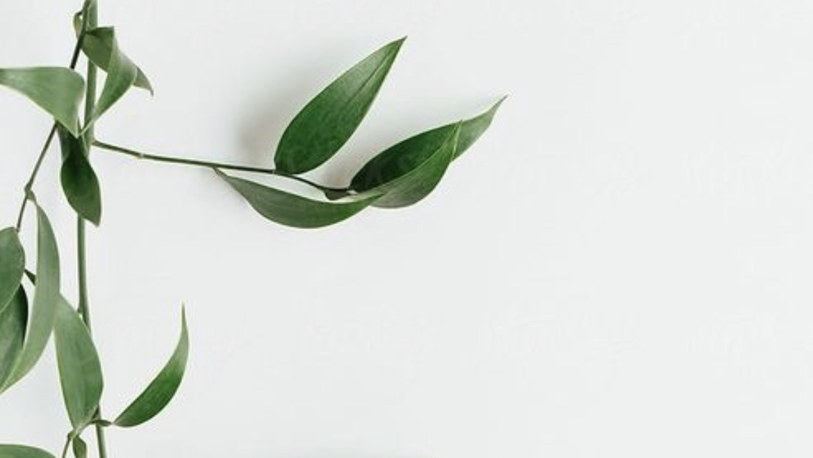 خبراء العناية - صورة 3