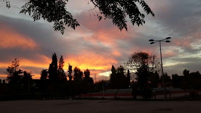 Photos of منتزه حي المعلمين