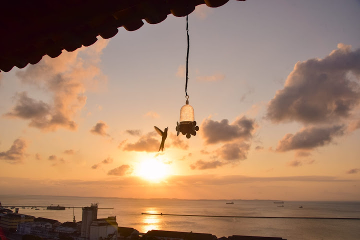 Pousada Beija Flor by null