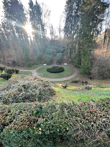 Scheller-Grund - Visual