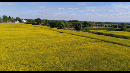 Culham - Visual