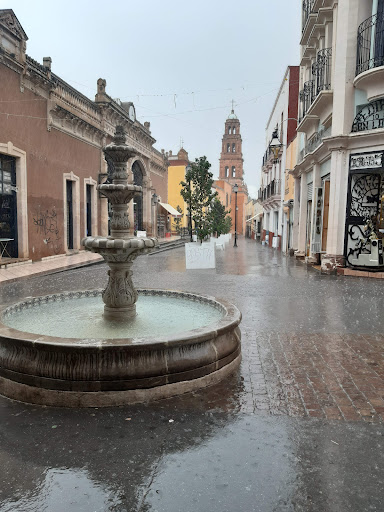 Jardín Madero - Thumbnail