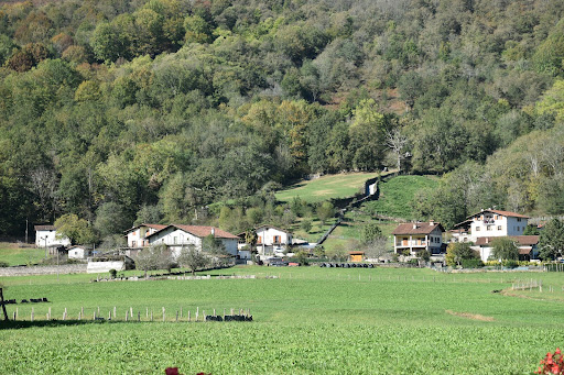 Narbarte - Visual