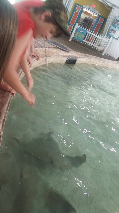 Stingray Bay