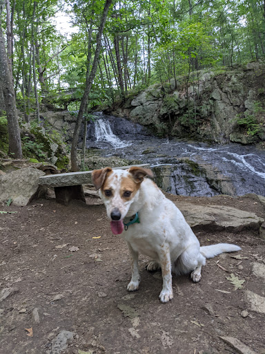 Fore River Sanctuary Gallery - United States