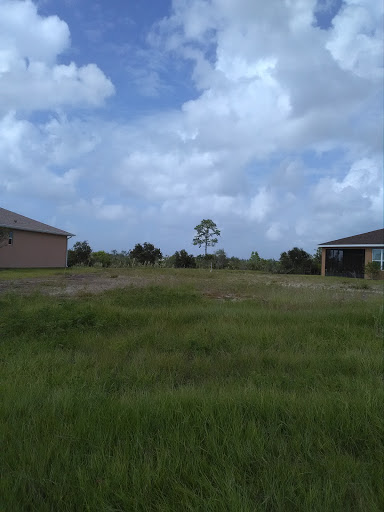 Avatar Properties - Thumbnail