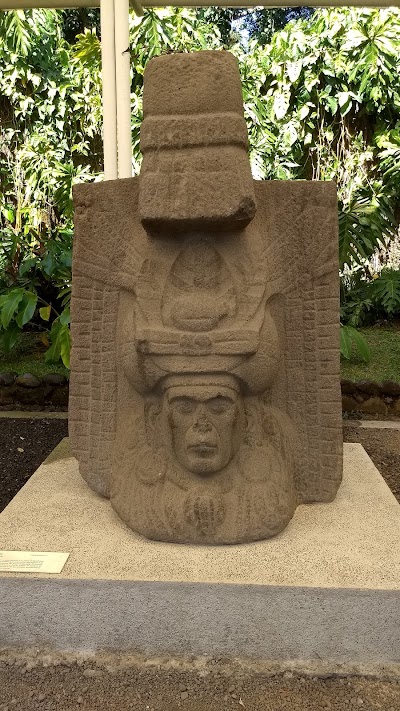 Photos of MUSEO EL BAUL