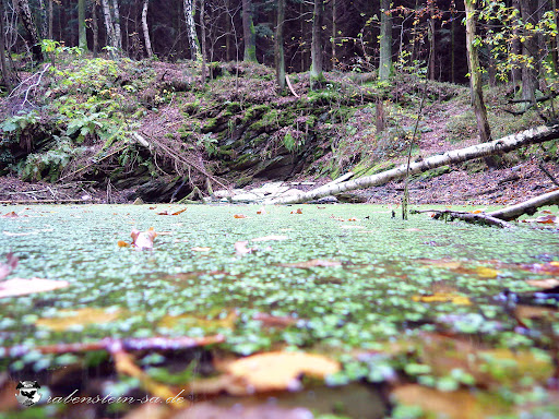 Silbersee / ehem. Steinbrüche - Thumbnail