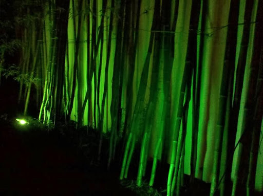 Hoch's Landscaping & Garden Center Gallery - United States
