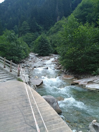Photos of Stream Hause