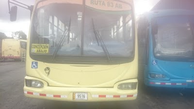 Empresa de buses 83AB