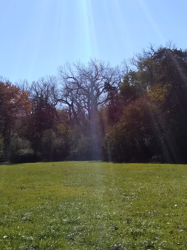 Luther Hormel Memorial Park (City of Fremont) - Thumbnail