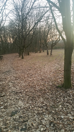 Parking Lot Elfershausen - Thumbnail