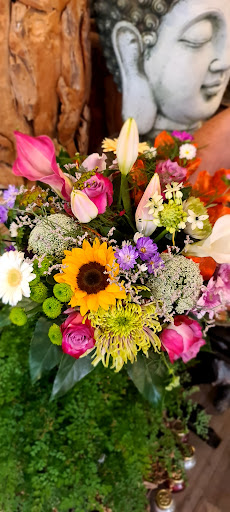 Blumen Balsu - Thumbnail