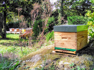 Photo n°1 de les Abeilles de Pasloup à Boutigny-sur-Essonne (Miellerie)