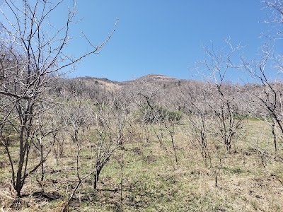 White Mountain Wilderness