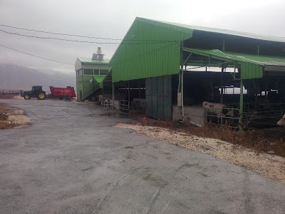 Photos of Bcm Agro