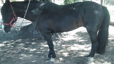 Photos of J.S La Milanesa Mas Rica
