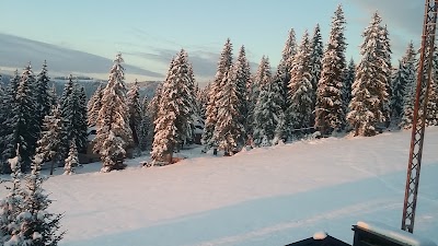 Photos of Villa Panda - Vla&scaron;ić