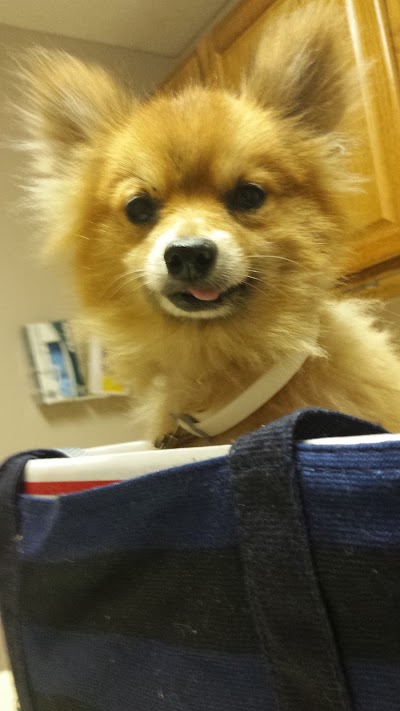 Photos of Rogersville Animal Hospital, Dr . Slaughters