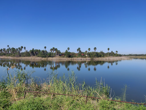 Bentsen-Rio Grande Valley State Park - Thumbnail