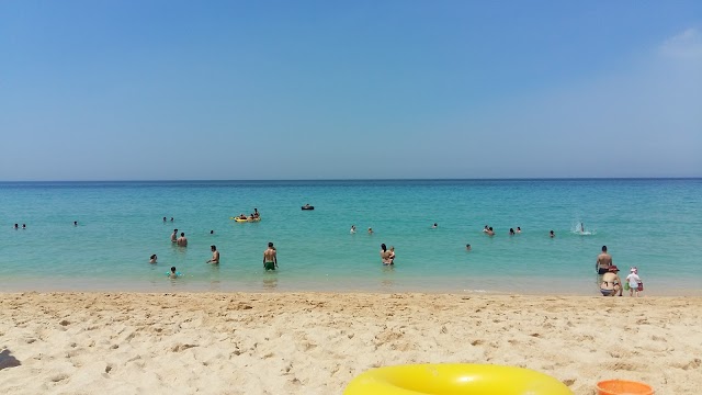 Praia Comporta
