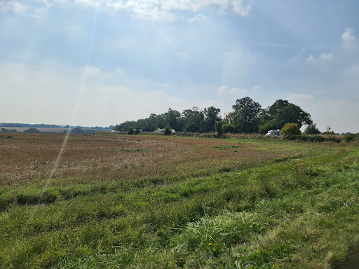 Tithe Farm Campsite