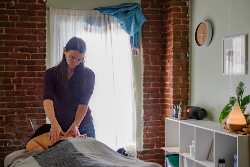 True Blue Wellness - CranioSacral Therapy, Massage Therapy, Reiki, Lymphatic Massage