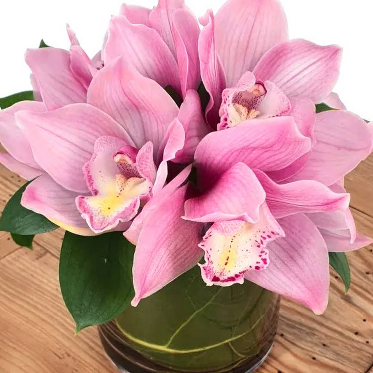 The Lost Flower Shed Florist in Silverdale, Auckland!