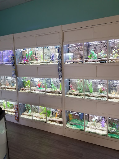 The Pet Store - Thumbnail