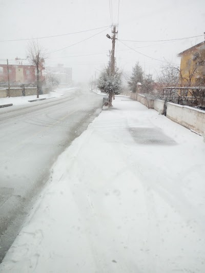Photos of Dedelibağ Parkı