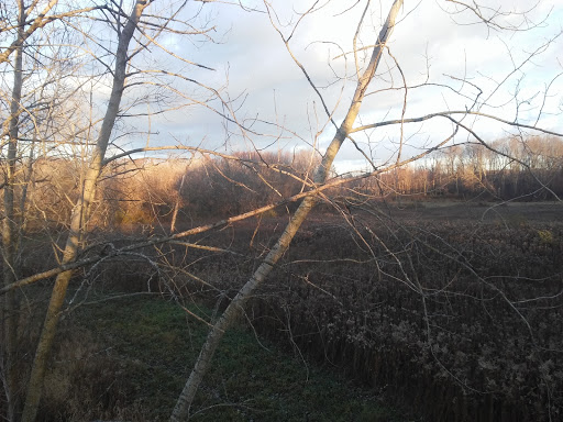 Cedar Lake Wetland Conservation Area - Thumbnail