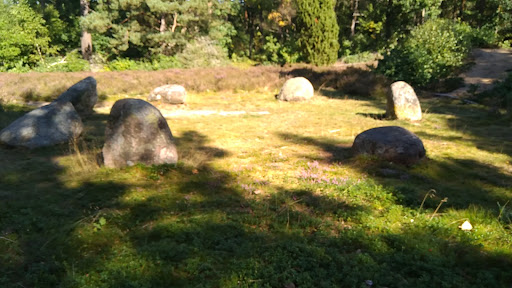 Domarring - Visual