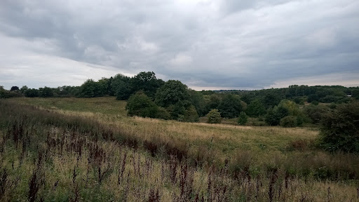 Baginton Loops- Park and Woodlands Gallery - United Kingdom