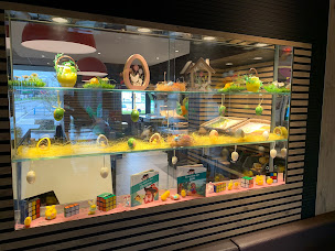 Photo n°57 de McDonald's à Villers-Semeuse (Sandwicherie)