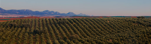 Marqués de Valdueza