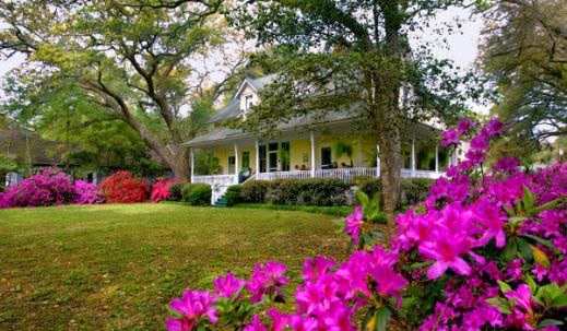 Magnolia Springs Bed and Breakfast by null