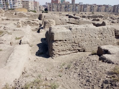 Photos of ورشة مكن فلافل