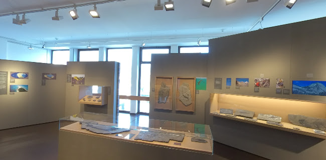 Rezensionen über Bündner Naturmuseum in Chur - Museum