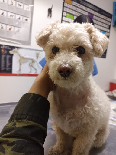 Clínica veterinaria KELEV