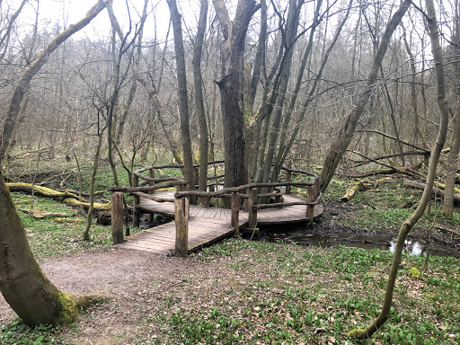 Feensteig - Visual
