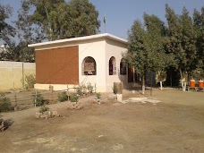 Govt Primary School mirpur-khas Mirpur Khas – Digri Rd